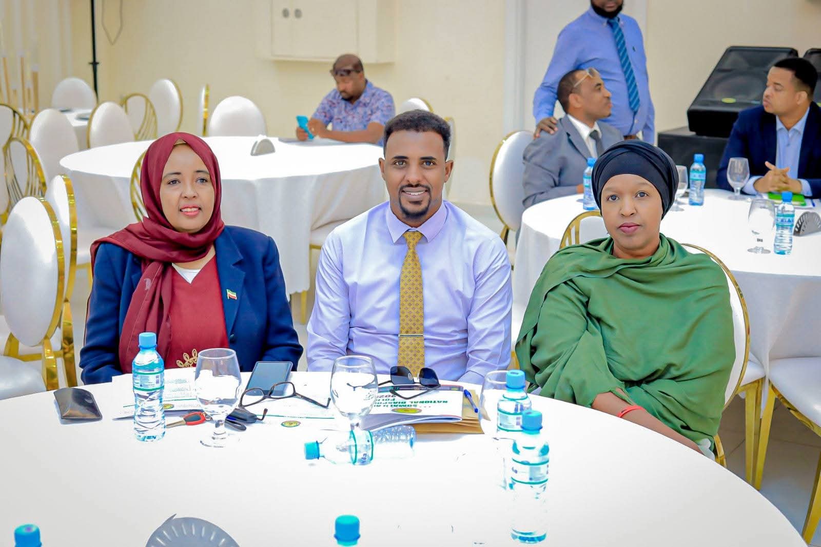 National Diaspora Policy Validation Workshop - Image 20